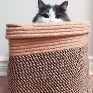 Meet your Posher, Sue